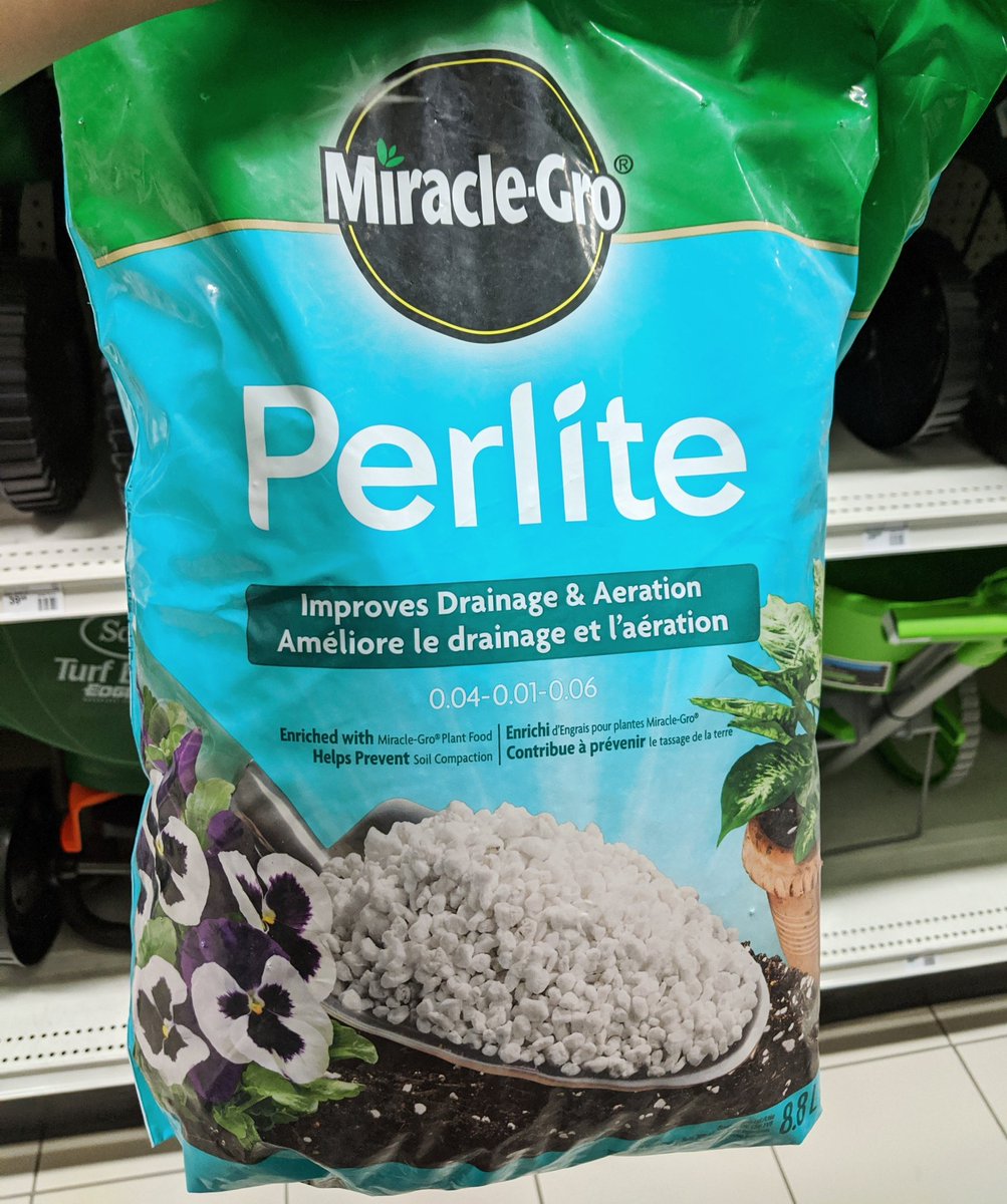 Argenplath's tweet photo. Excellent bday adventures in Leduc! Grabbed Portuguese tarts from Prestigio bakery (thanks for the 2 extras @atbfinancial + @lindork!) and perlite (it's so hard to find) for the propagation station at Canadian Tire (the dino lawn decor is hilarious)! #atbgoodnessgrows https://t.co/LdCvtiYB3k