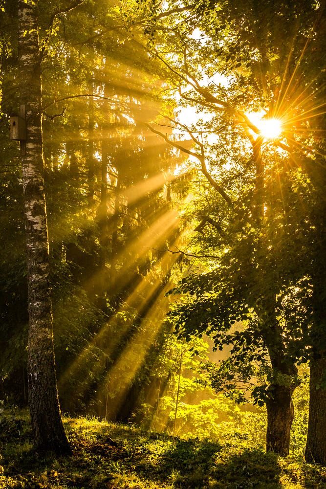 Usul usul yürünülesi.