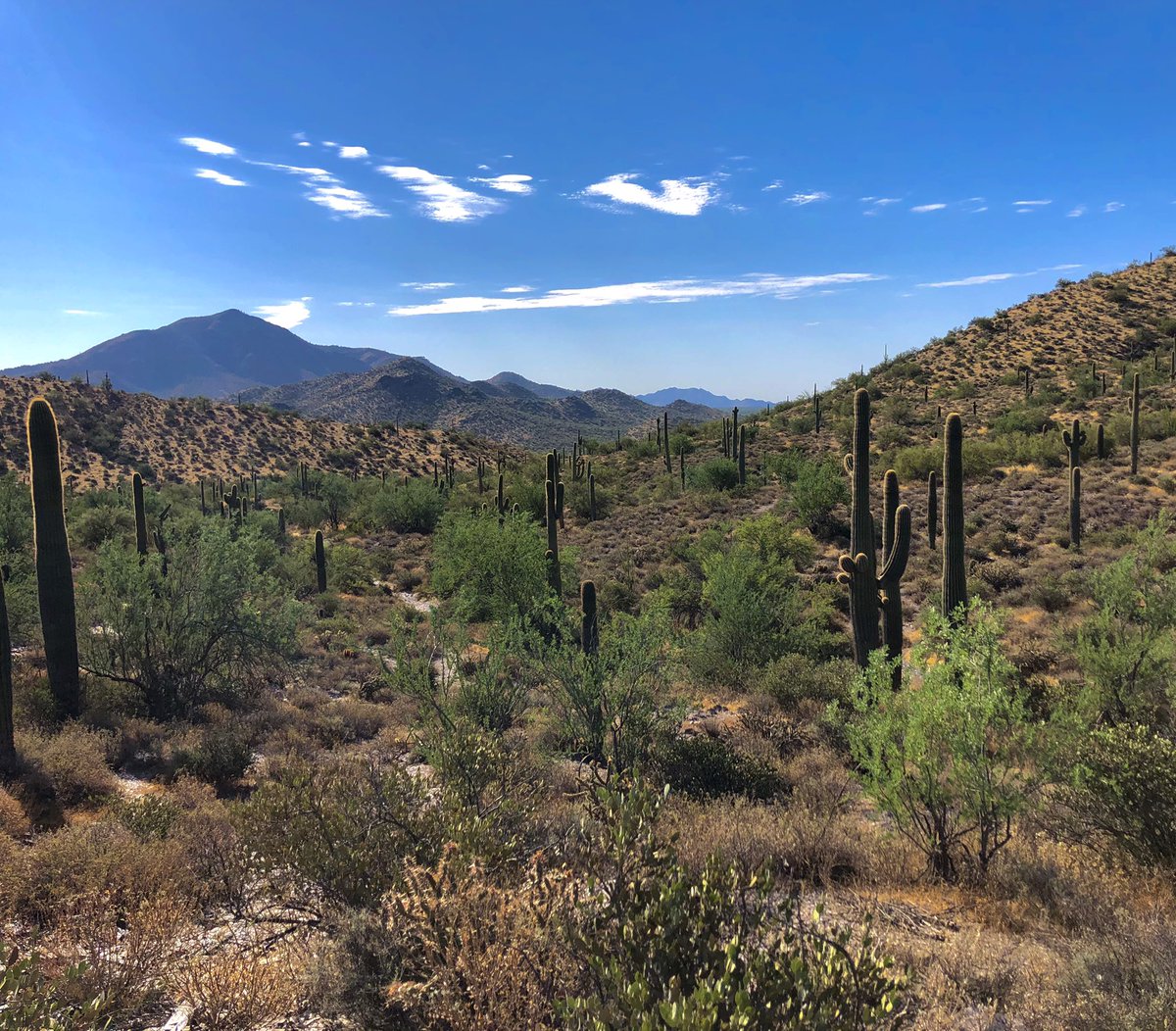 Marce_AZ's tweet photo. 13.1 trail miles ✅⛰ I love seeing the sunrise while trail running in the desert! 😍🌄 #RnRVR #DesertRunner #SundayRunDay #LifeInAZ #StartlineRacing #NAFlagvisor #RunderfulRunners #RunHappy #Earthathon #HalfMarathon #TrailRun #TrailRunner #OptOutside #SundayMotivation #Sunday https://t.co/i2vhAKiNkx