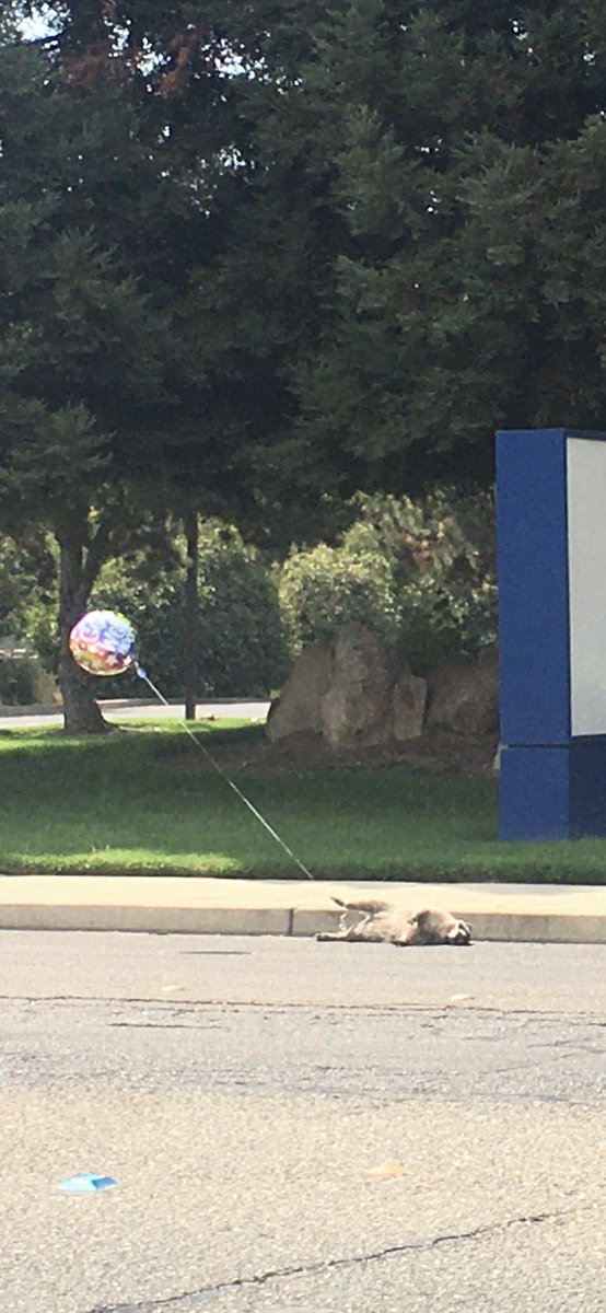 Get well soon king 🥺