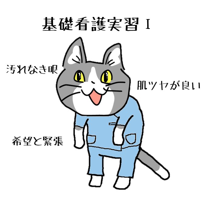 #現場猫 #看護師 #看護学生 
思ひ出を辿って。
つづく。 