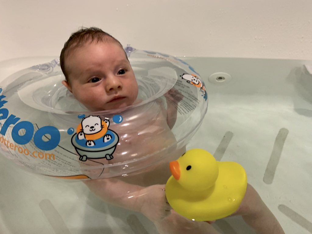 Matt Whewell tweet media