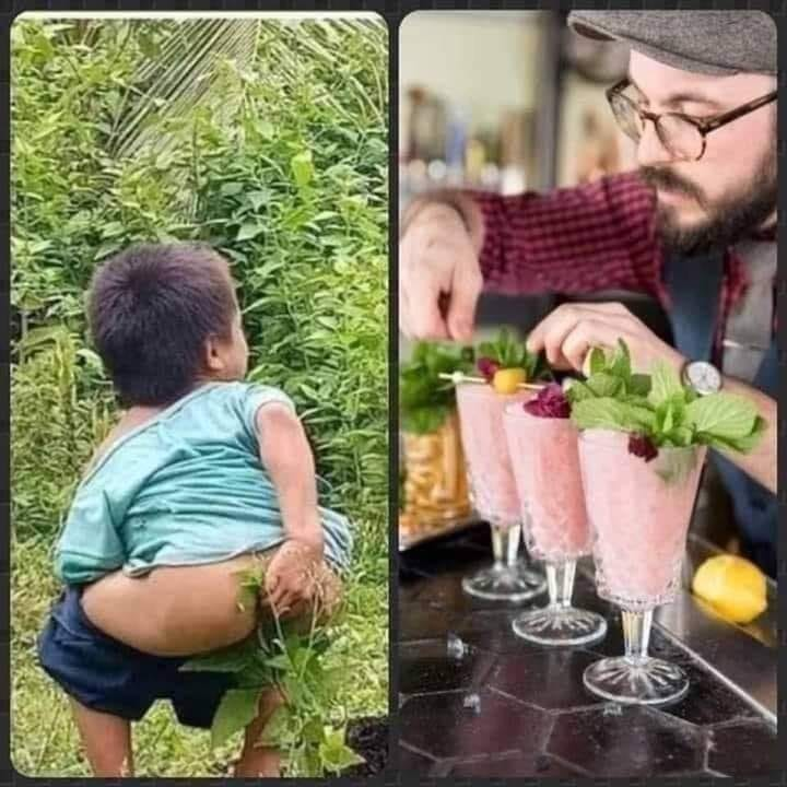 Hasiotus tweet media