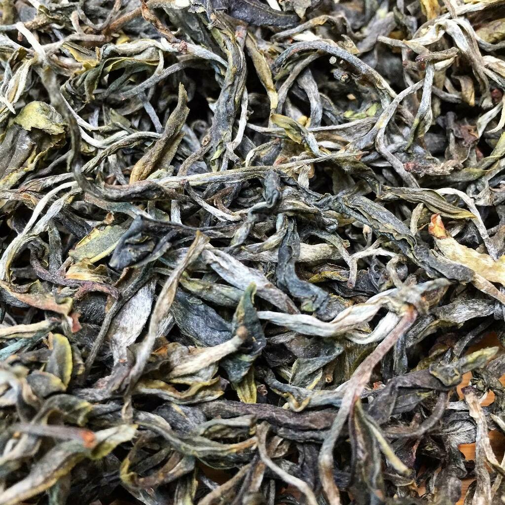 CrimsonLotusTea's tweet photo. Kunlu Gushu Single Tree. So excited for this one! We’ll be doing a live tea tasting with it in a few minutes here on @instagram live.
.
#sheng #puerh #puer #tea #puerhtea #TeaTasting #LiveTea #Seattle #China #Yunnan #Kunlu #OldTreeTea #Gushu #gongfu #go… https://t.co/xiEHjsVJuI https://t.co/liR9GdFSVD