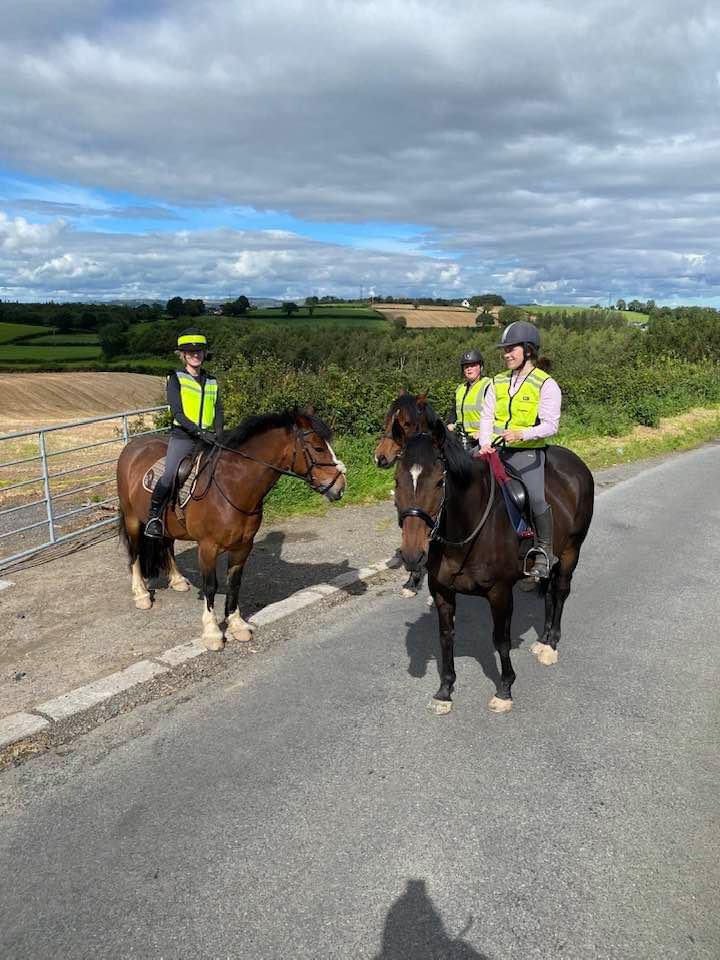 carol199's tweet photo. #SundayHacks #Sunny #Hillsborough #RoxyAndFriends #GoodHorses #Happy https://t.co/8Reaqv7ASp