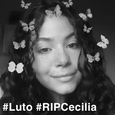 tchampim's tweet photo. R.I.P. Cecília 06/05/2004—06/09/2020🥺❤
Voa alto anjinho ❤👼
Vou sentir sdds 😞😞
#Luto #RIPCecilia https://t.co/RxoLhv9jAM