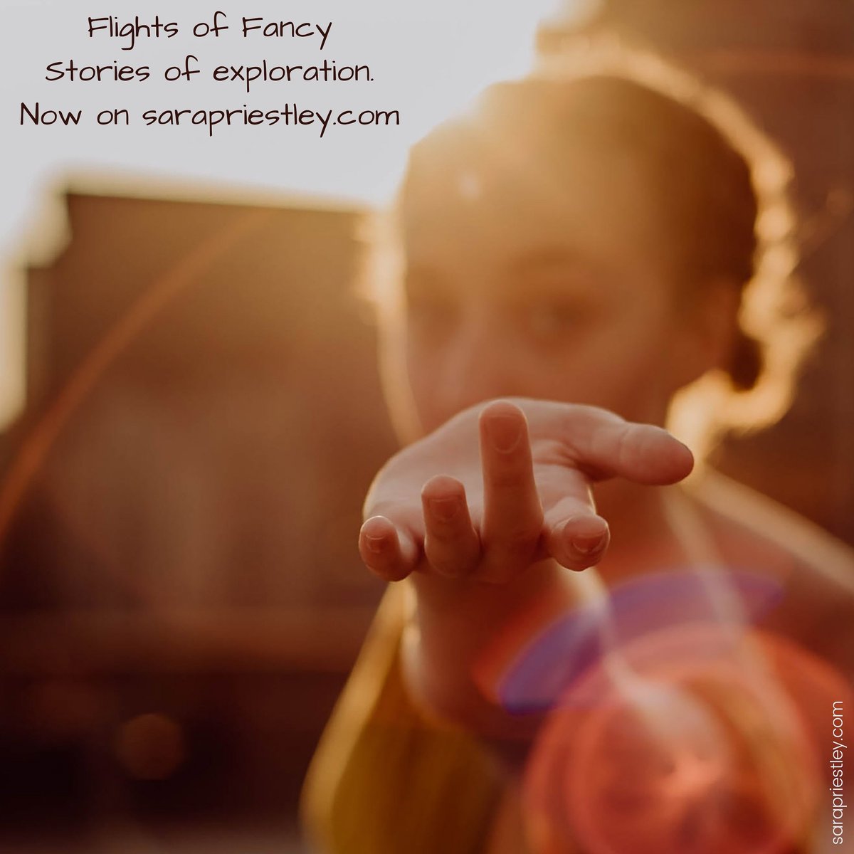 Flights of Fancy
For those that like stories.

sarapriestley.com/flights-of-fan…