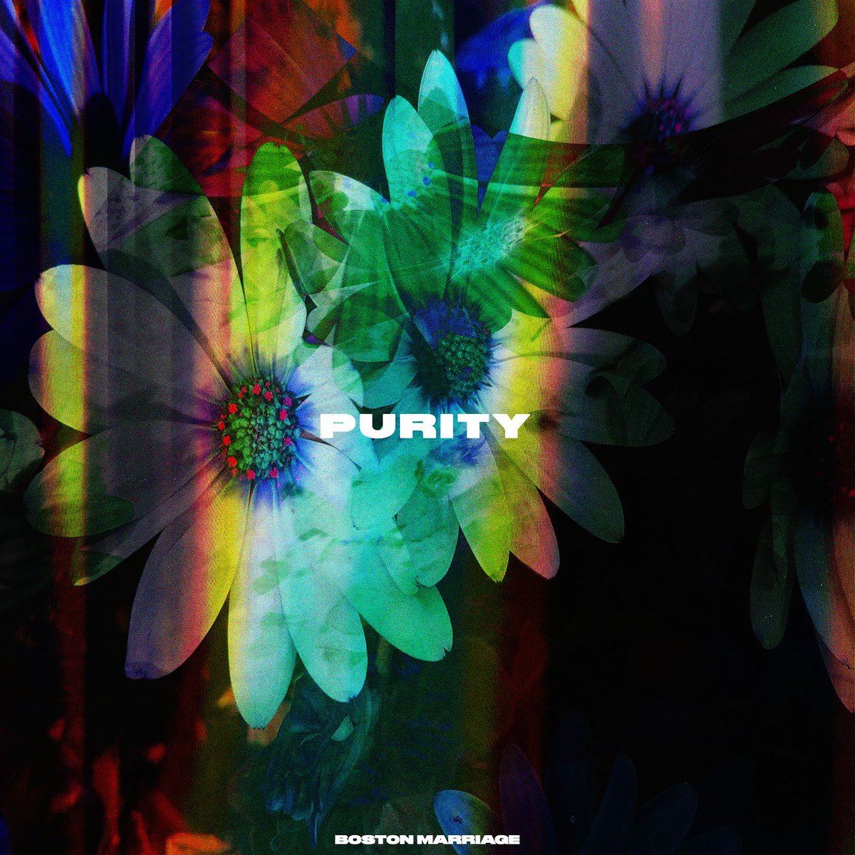 TheUnicornSound's tweet photo. Boston Marriage (@bostonmarriage_ ) - Orlando, FL

Songs to Listen to: Purity &amp; Idols

Spotify: https://t.co/pMRJy8rEmc

Apple Music: https://t.co/w4h41BN53G

Website: https://t.co/PLbzbMZjlQ https://t.co/Bm79Tt2Fjg