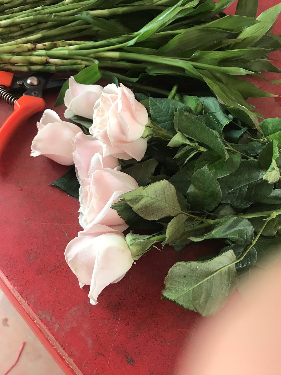 សូមរៀនស្វែងយល់ផង បើអ្នកជឿសំដីគេ ហើយ ក្នុងចិត្តកំពុងស្អប់ គេនិយាយអី អ្នកវិភាគបាន ទាំងដែរមិនដឹងអី។ ប្រយ័ត្នណា បើមានគេដឹងគេ និងថាអ្នកជា “អាល្ងង់”។