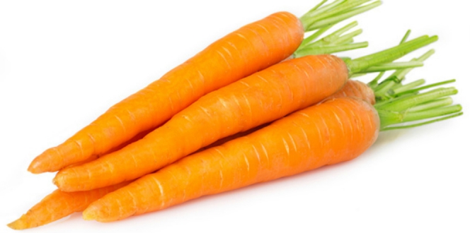 StoreZauja's tweet photo. Wortel kaya betakaroten (vitamin A), zat gizi penting yang diperlukan oleh mata. Senyawa ini memang tidak dapat menyembuhkan kebutaan, namun dapat memperbaiki kondisi mata akibat kekurangan vitamin A. https://t.co/BtS4VrwaYU