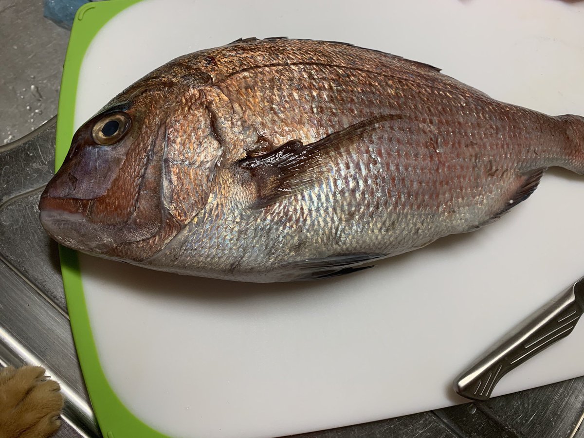 0214Milk's tweet photo. 中華一番に登場した転生春巻きを作ってみました🐟包丁を燃やすのは無理だったので、鯛の切り身を湯引きして火を通しました🔥
頭と尾を添えて写真を撮りたかったのですが、養殖の鯛は見栄えがイマイチだったので、今度天然物が手に入った時に… #中華一番　#きまぐれクック https://t.co/PUp4zttw6P