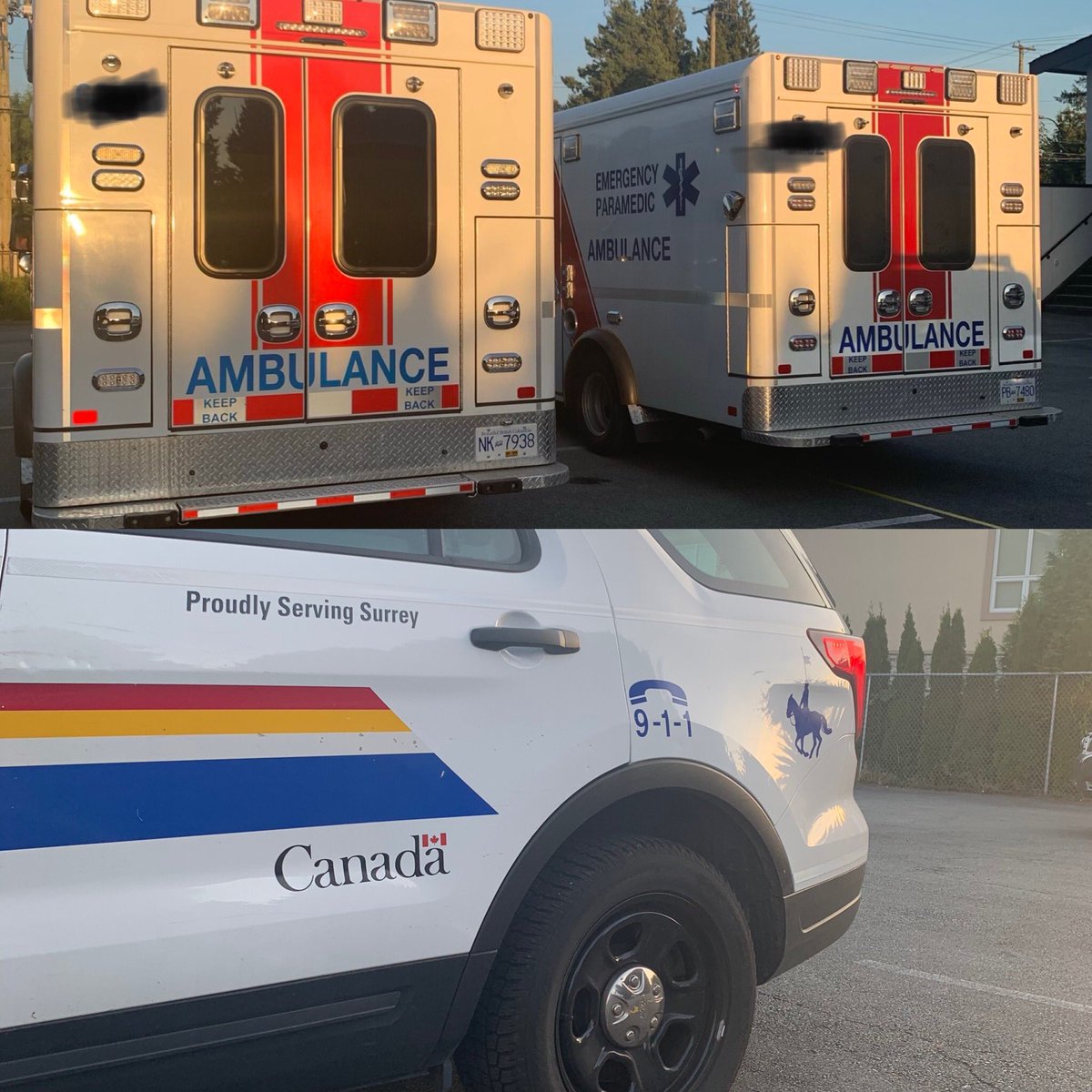 SurreyGreek tweet media