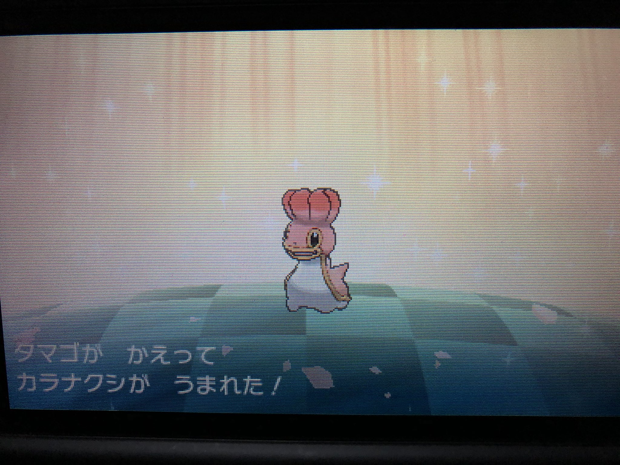 最近別のゲームにハマり中 カラナクシ にしのうみ 2匹目 国際孵化1444 サンムーン 色違い T Co 4zwqwre6om Twitter