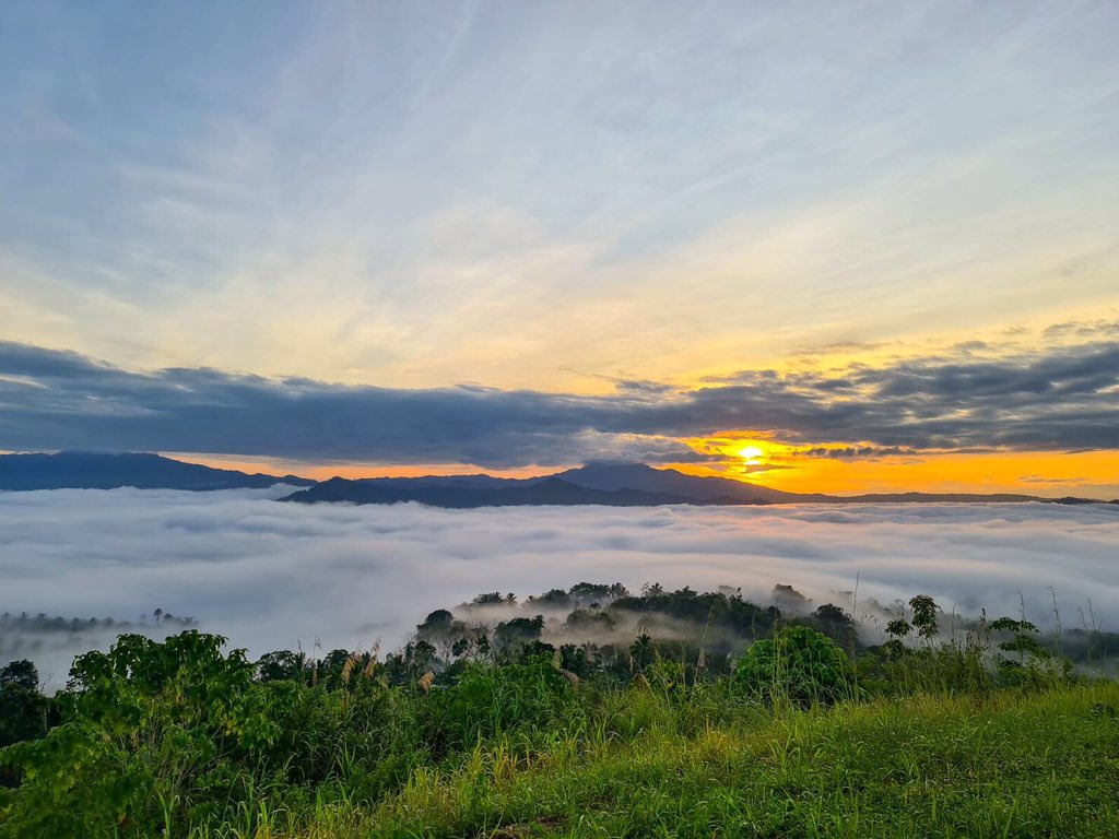 PapiGerger's tweet image. 