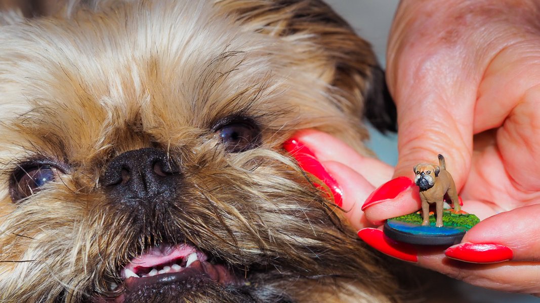 Melbourne Mini Painter tweet media