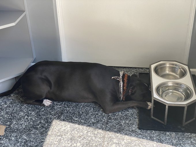 today felt like this https://t.co/Px4IQgr3ty