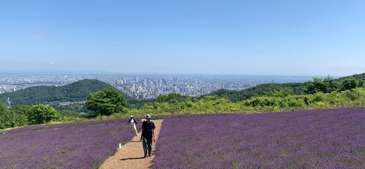 renoves's tweet image. 【スタッフブログ更新】幌見峠のラベンダー園
buff.ly/3i02bQO