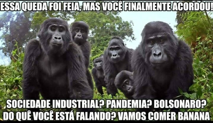 respostas a pessoas da minha esquizofrenia tweet media