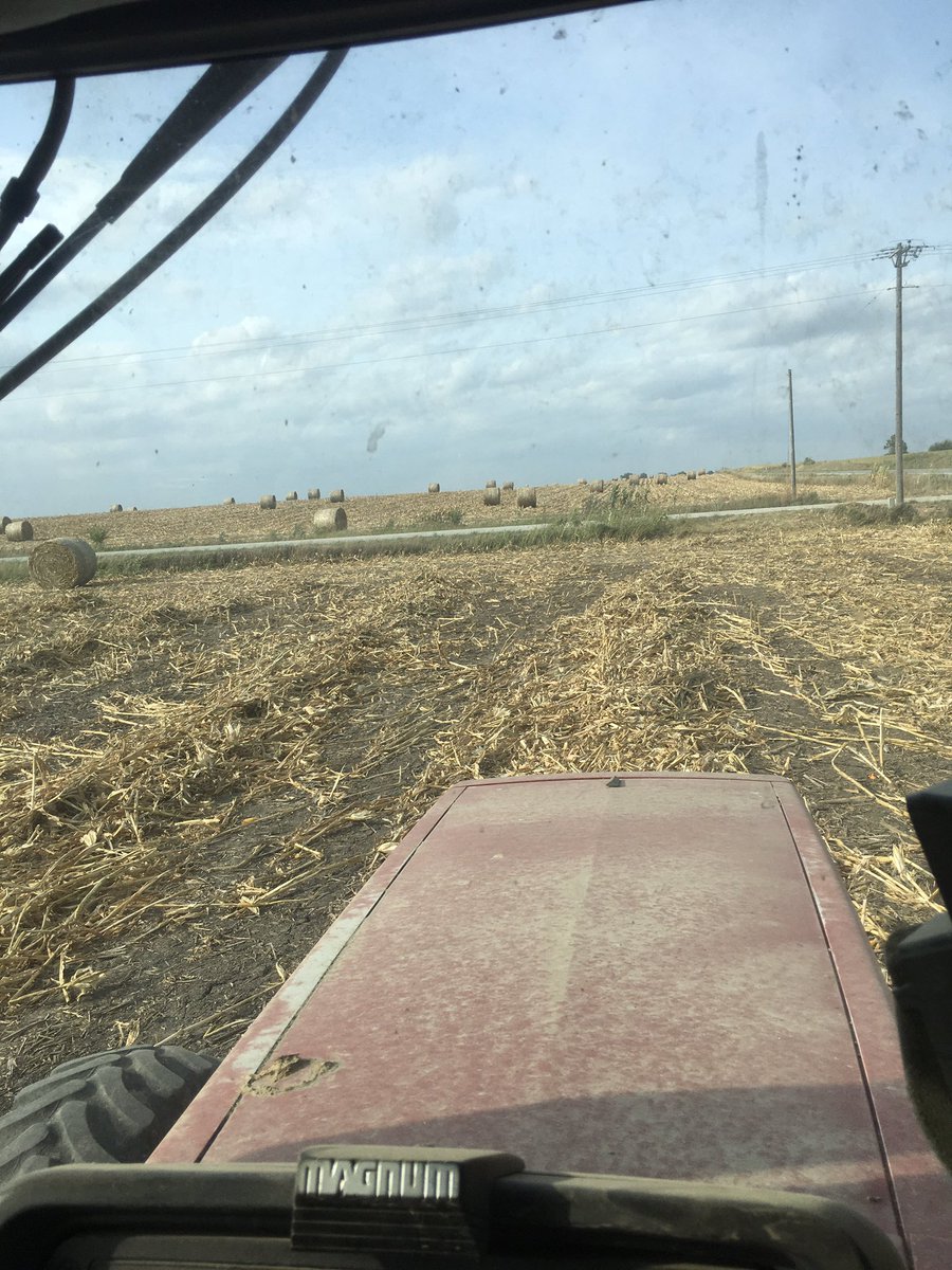 Beep Beep.         Beeeeeeeeeeeep.       Beep Beep Beep Beep.