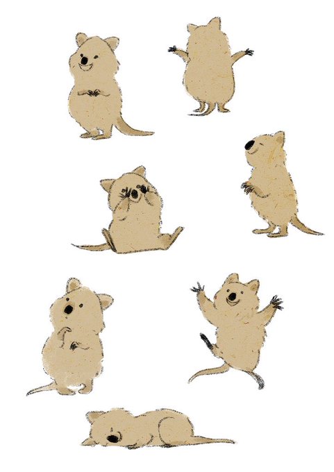 にっこりクァッカ 