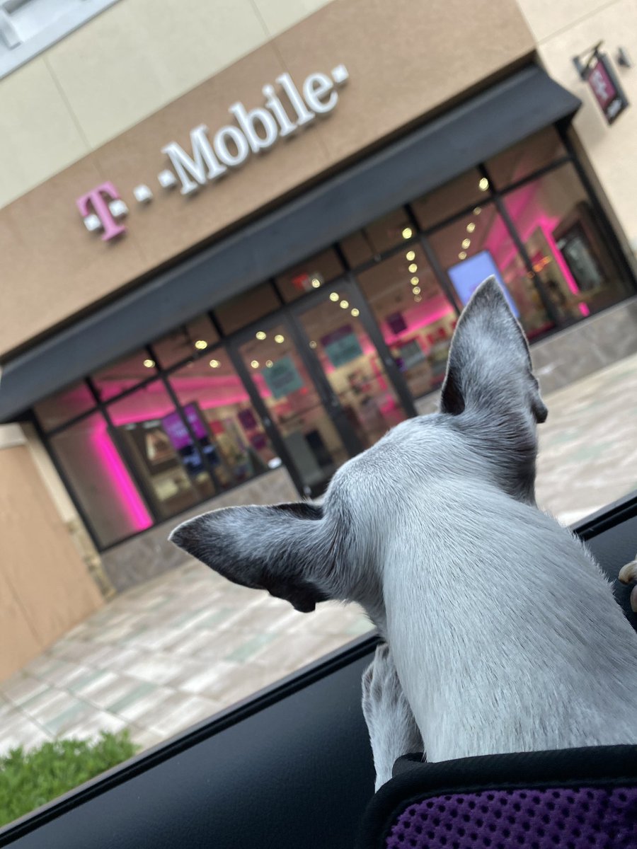 When the baby is waiting for his brother to leave work ...
#dogsoftwitter #baby #tmobile #tmobiledogs #bringyourdogtowork #lovewhatyoudo
<a href="/MoMoneyMo1on1/">Mo Hassan</a> <a href="/Samir_fl/">Samir Boulos</a>