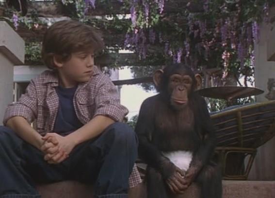 91. The Jennie Project (2001) dir. Gary Nadeautheres a scene where a chimp is on trial and the judge is under the impression that the case involves a human person until she gets to the courtroom and realizes whats going on. and the chimp's lawyer is a 9 year old.2.5/10