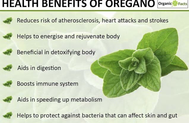DrIsai2's tweet photo. I am Dr.Isai a traditional herbalist, I have helped so many people with my herbal medicine.

DM me for your herbal cure to any kind of disease. 
WhatsApp: +2349034352176
Email: drisaiherbalcenter@gmail.com https://t.co/seNL0FvTIy