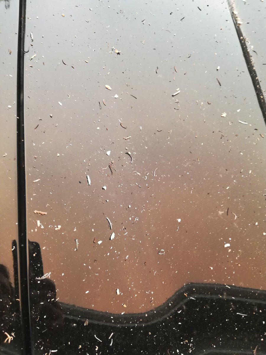 ozone613's tweet photo. @KathySabine9 Raining ash here in Longmont. https://t.co/5dBCtI0S2m