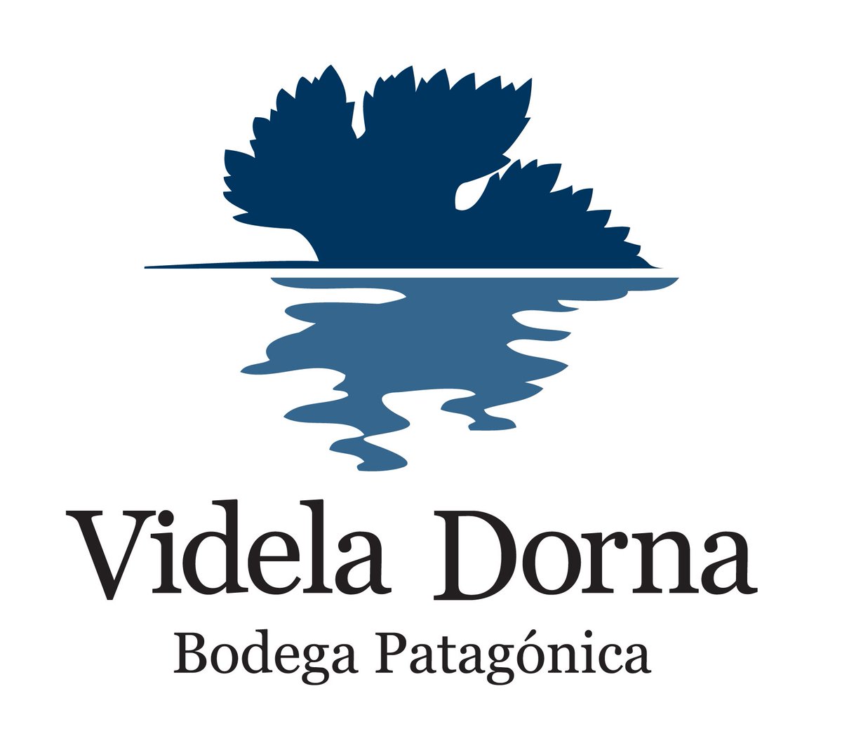 Bodega Videla Dorna tweet media