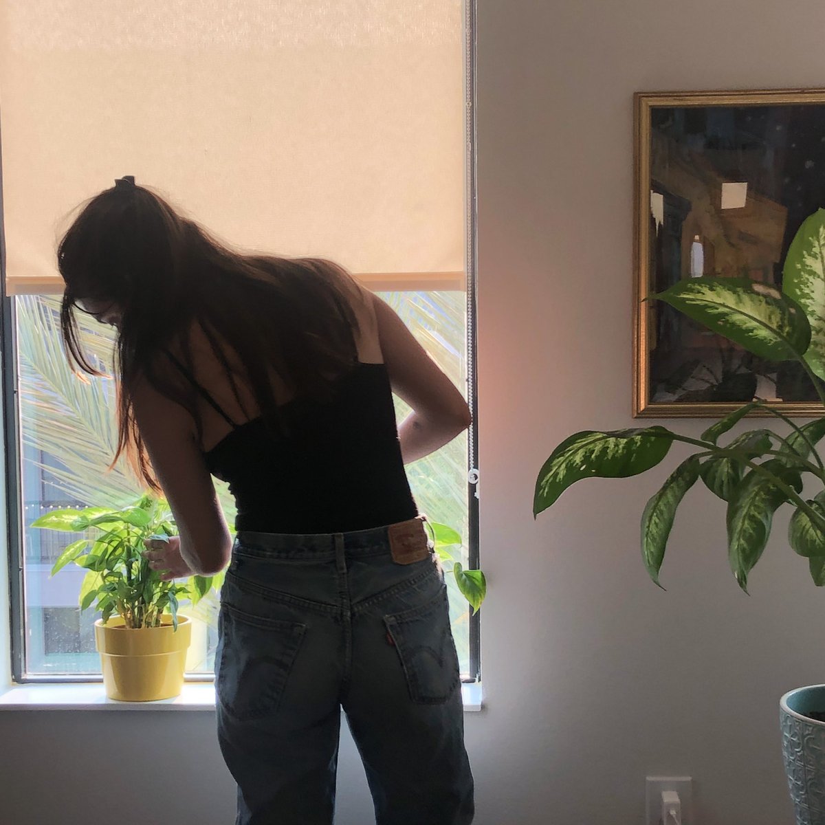 Jo1998Haley's tweet photo. Although there isn’t much going on in this photo, represents who I am. I have a love for art, plants, and bright light. This photo makes me happy #MCO335 https://t.co/UBypcYPZNn