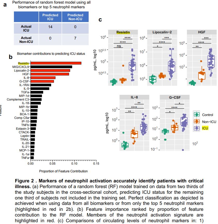 rhg_1's tweet photo. @Mangan150 @npure3 @drareimers @foundmyfitness @drhljung @mdpatrick @JuliaB_fitness @MicahPutnam #Resistin may also predict critical illness and mortality in #COVID19: "This study identifies #neutrophil activation as a defining feature of severe COVID-19 that occurs prior to the onset of critical illness" (@MattMeiz et al). https://t.co/u3yzSRqa2T https://t.co/07g67tRE73