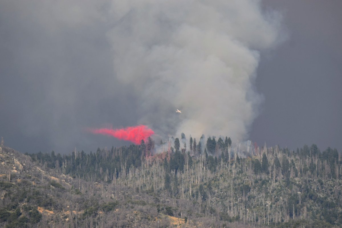 andyjump1118's tweet photo. @CAL_FIRE #S2Tracker #82 taking a run at #PeckinpahFire in #Cascadel area above #northfork part of the #CreekFire on 9/5. @564FIREPhoto @805Weather @mofilly @tehamacospotter @FirePhotoGirl @ai6yrham @CalDisasters @ThePhotoHour @Sierra_NF #hxnspotter #fire #spotfire https://t.co/FnP2Cq7dE0