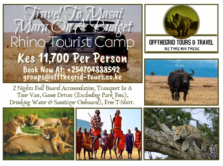 OffthegridT's tweet photo. Only Kes 11,700 Per Person...
Book Now For 2 Nights Of The Greatest Wildlife Experience In The World.....

Call Us On 0704888592
Email: groups@offthegrid-tours.co.ke To Book..

#TembeaKenya #MagicalKenya
#InfinixZero8KE #MutuaForPresident #RutoOnWeruTv #CoronaHeist https://t.co/LDqztu9sWY