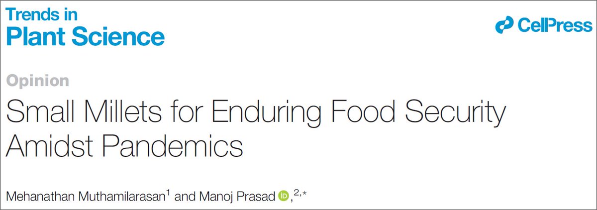 This is BIG! Our article on ‘Small millets for enduring food security amidst pandemics’ is now published in ‘Trends Plant Sci’ (Cell Press)!! 

bit.ly/TIPS_Millets

<a href="/NIPGRsocial/">BRIC-NIPGR</a> <a href="/PrinSciAdvGoI/">Principal Scientific Adviser, Govt. of India</a> <a href="/kvijayraghavan/">K. VijayRaghavan</a> <a href="/Ashutos61/">Ashutosh Sharma</a> <a href="/RenuSwarup/">Dr. Renu Swarup</a> <a href="/shekhar_mande/">Shekhar Mande</a> <a href="/Sandeep_1966/">Sandeep Verma (स्वर)</a> <a href="/manoj_prasad70/">Manoj Prasad</a>
