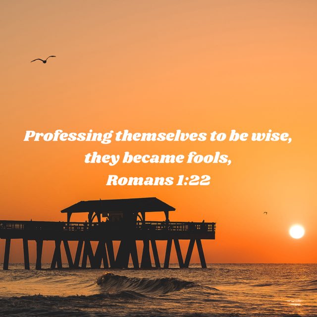 abaileyapb's tweet image. 