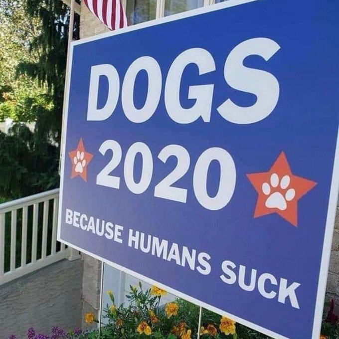 Lol exactly 😂 https://t.co/WJ9MSUvbok
