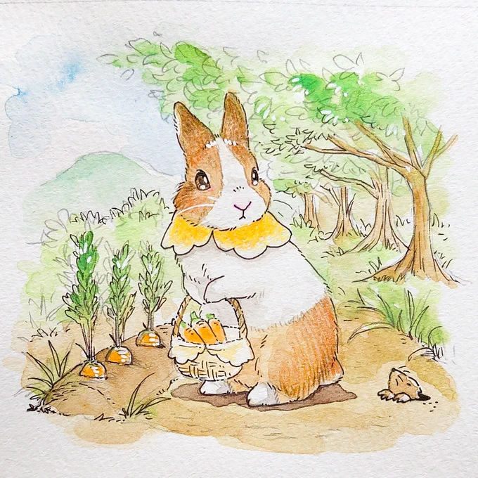 あら

こんにちは?? 