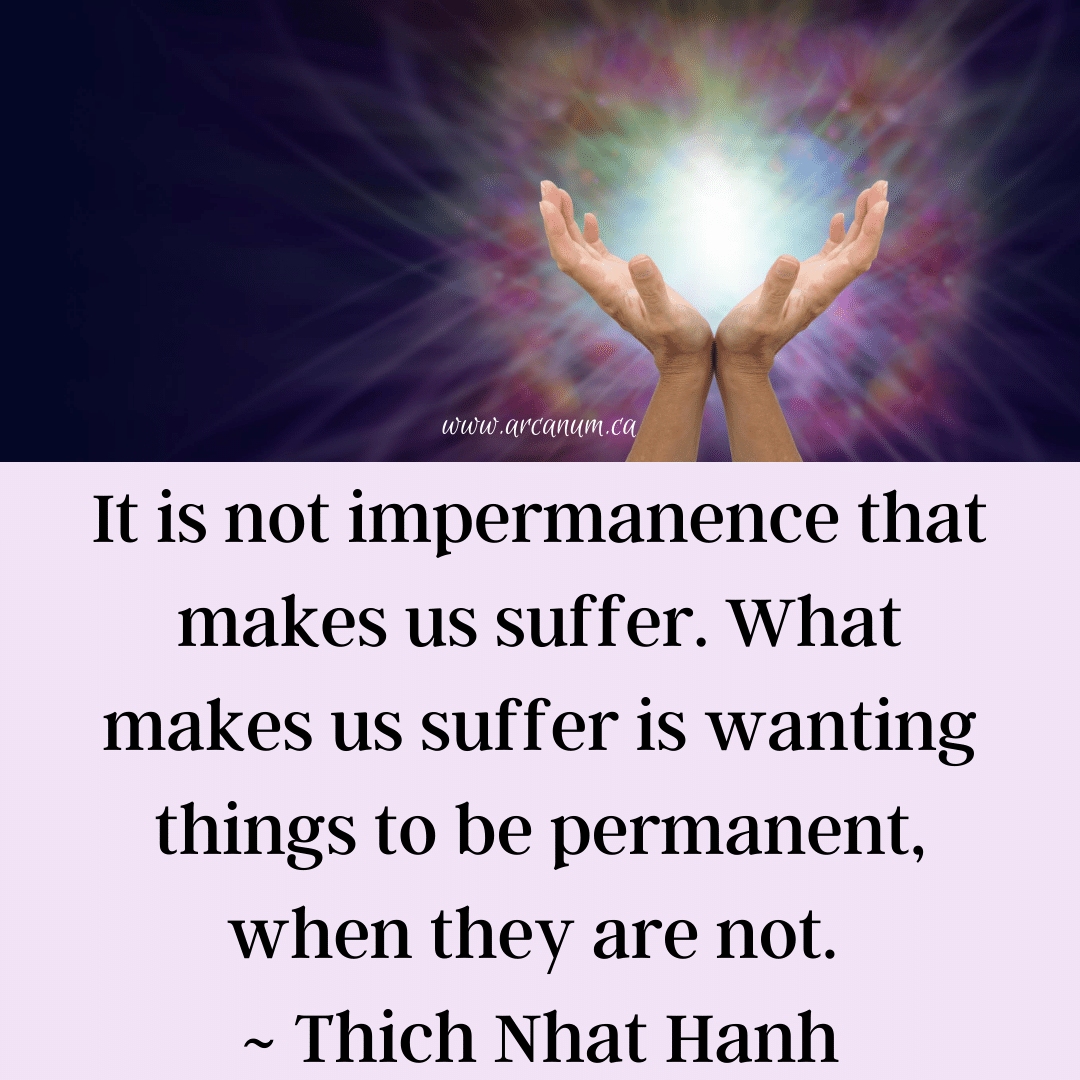 amcquinn's tweet photo. Unexpected change can destabilize us when the intellect has its feet stuck in 'should be' cement. #lability #motility #flexibility #nimble #heilkunst #homeopathy #sequentialtherapy #timelinetherapy #nutrition #supplements #homeopathicmedicine #likecureslike #counselling #coaching https://t.co/cL67xcjwjW
