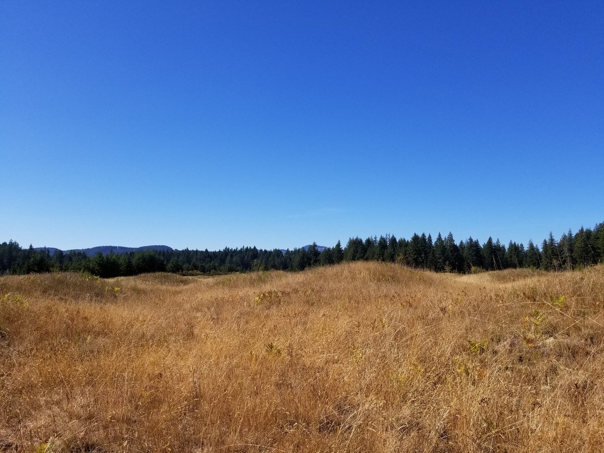 ryanlouie's tweet photo. #MimaMounds Natural Area Preserve. @waDNR @EcologyWA @ThurstonCounty @experience_oly @ExperienceWA https://t.co/EdgAti8PFy
