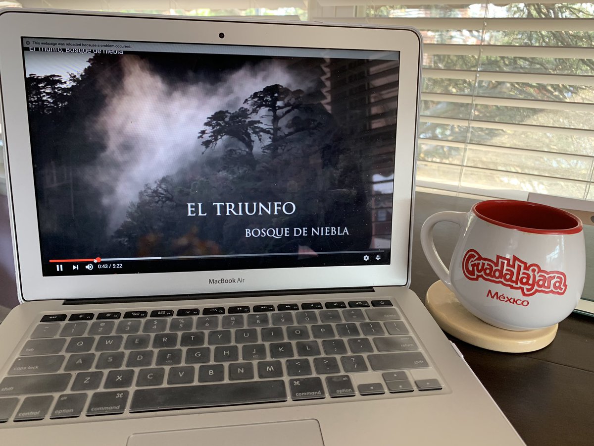 Buscando información para mi presentación oral sobre el bosque Triunfo ubicado en la Sierra Madre en el estado de Chiapas en 🇲🇽. Looking forward to using my research process &amp;resources that I find en español when it’s time to teach the research unit! 📗📘