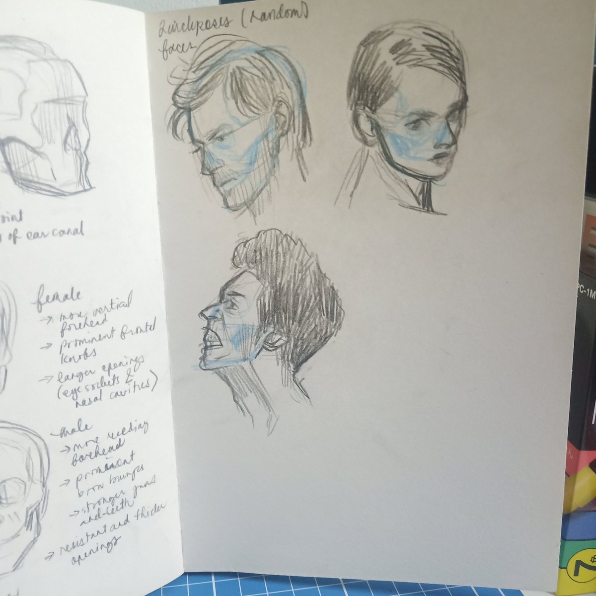 So I'm already done with the introduction part of Morpho. I'm now on the Head and Neck chapter! ? I tried applying it on random people's heads/faces hehe 