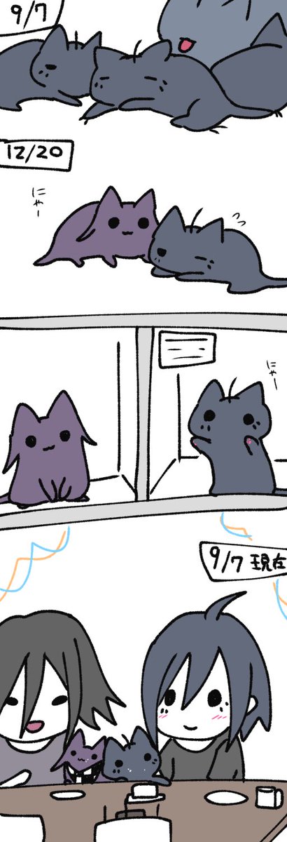 ねこの一年 