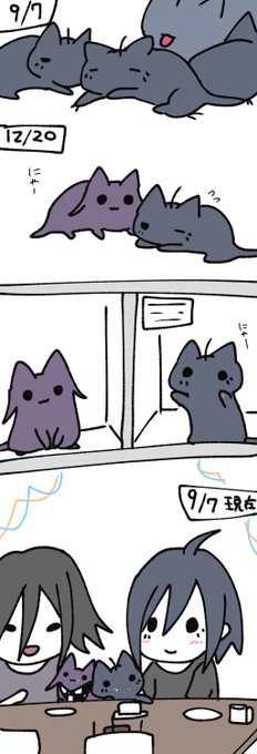 ねこの一年 