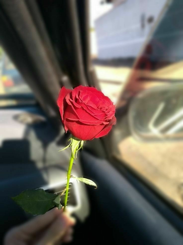 BANOOashkani's tweet photo. یه زندگی بساز
که درونت حس خوبیو ایجاد کنه،
نه اینکه فقط از بیرون خوب به نظر بیاد..

برای دل خودت زندگی کن نه برای پز دادن به دیگران..مهم خودتی!
#صبح_بخير_زندگی https://t.co/GNjuoQXWLq