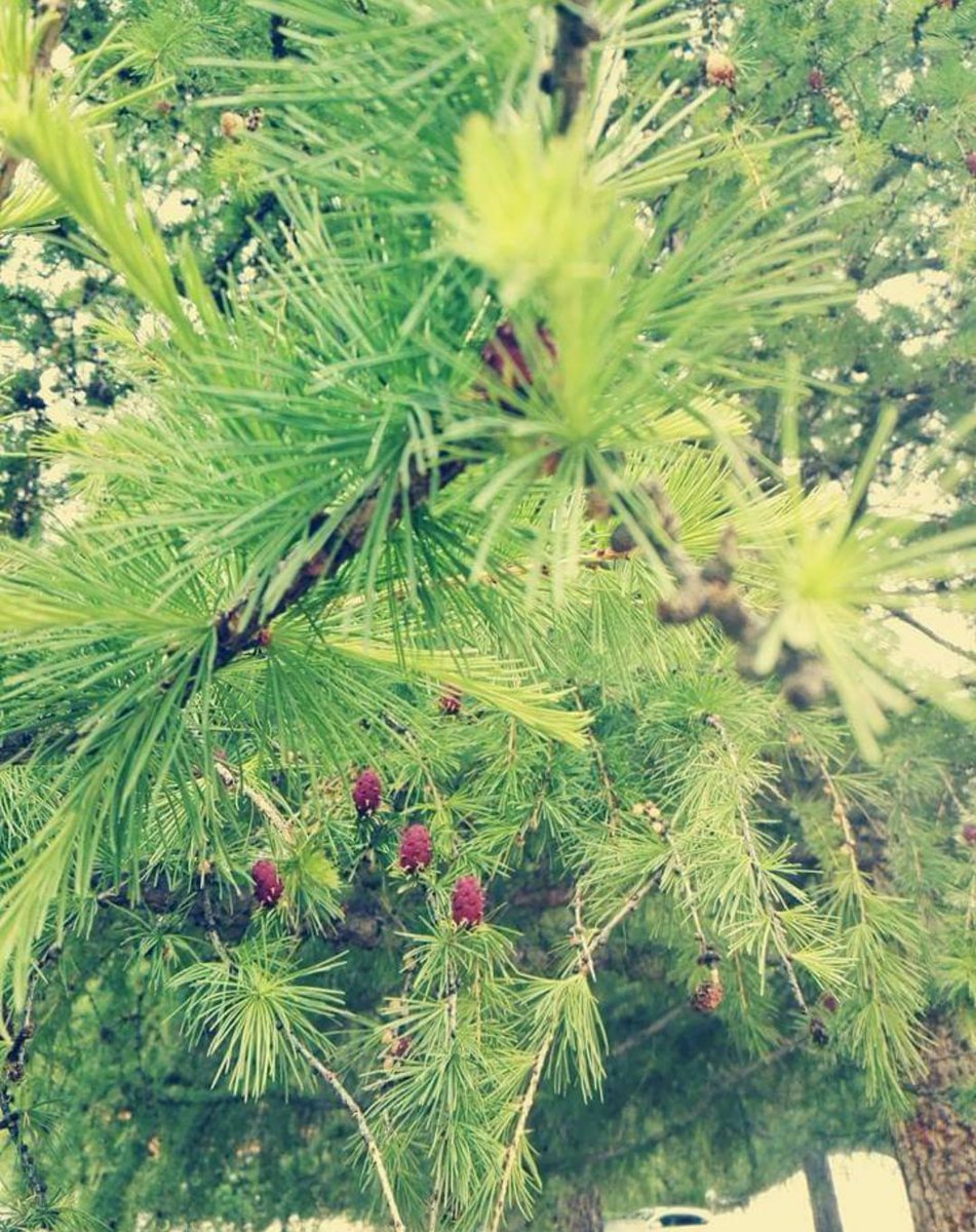 Өглөөний мэнд
Өдөрт ядаж 1 удаа юм бичиж бхаар шийдлээ.