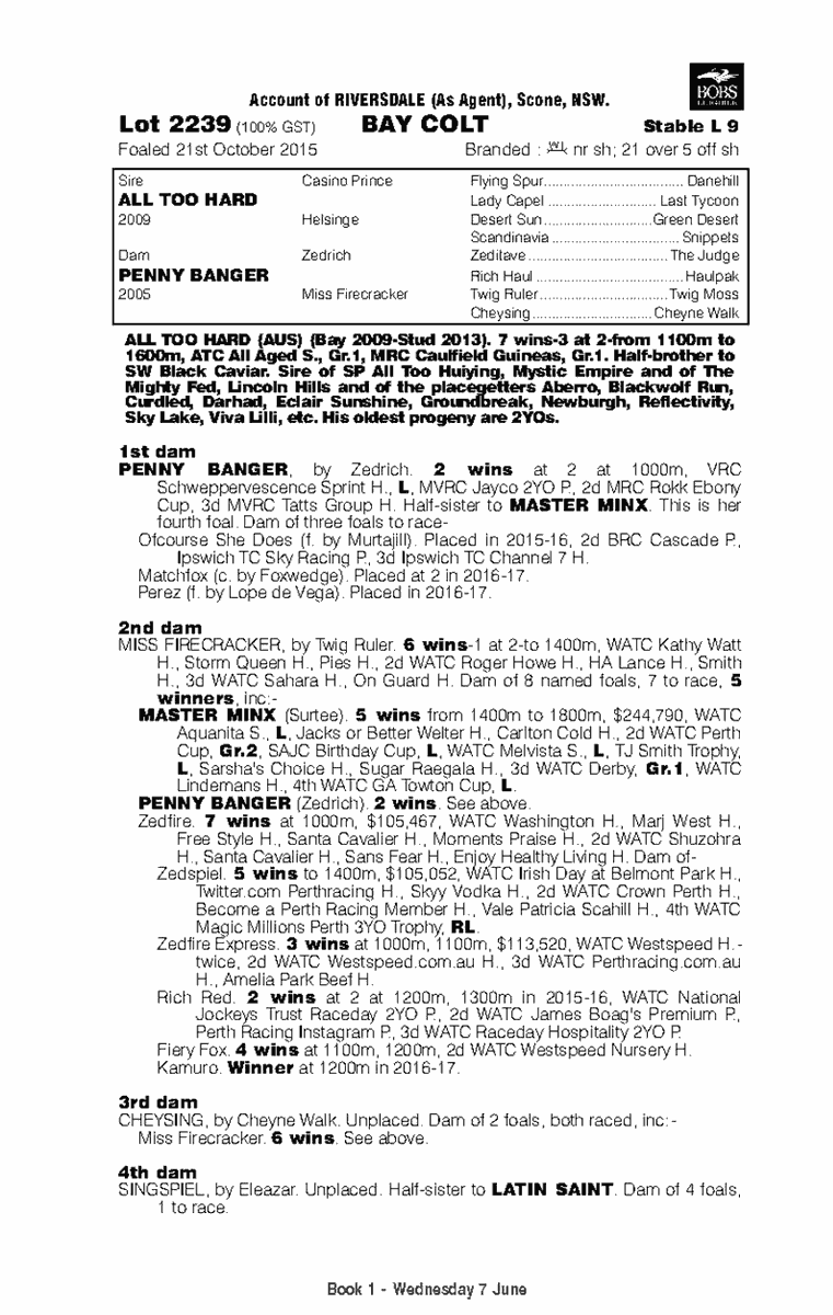 馬 Le Cheval♘♞ tweet media