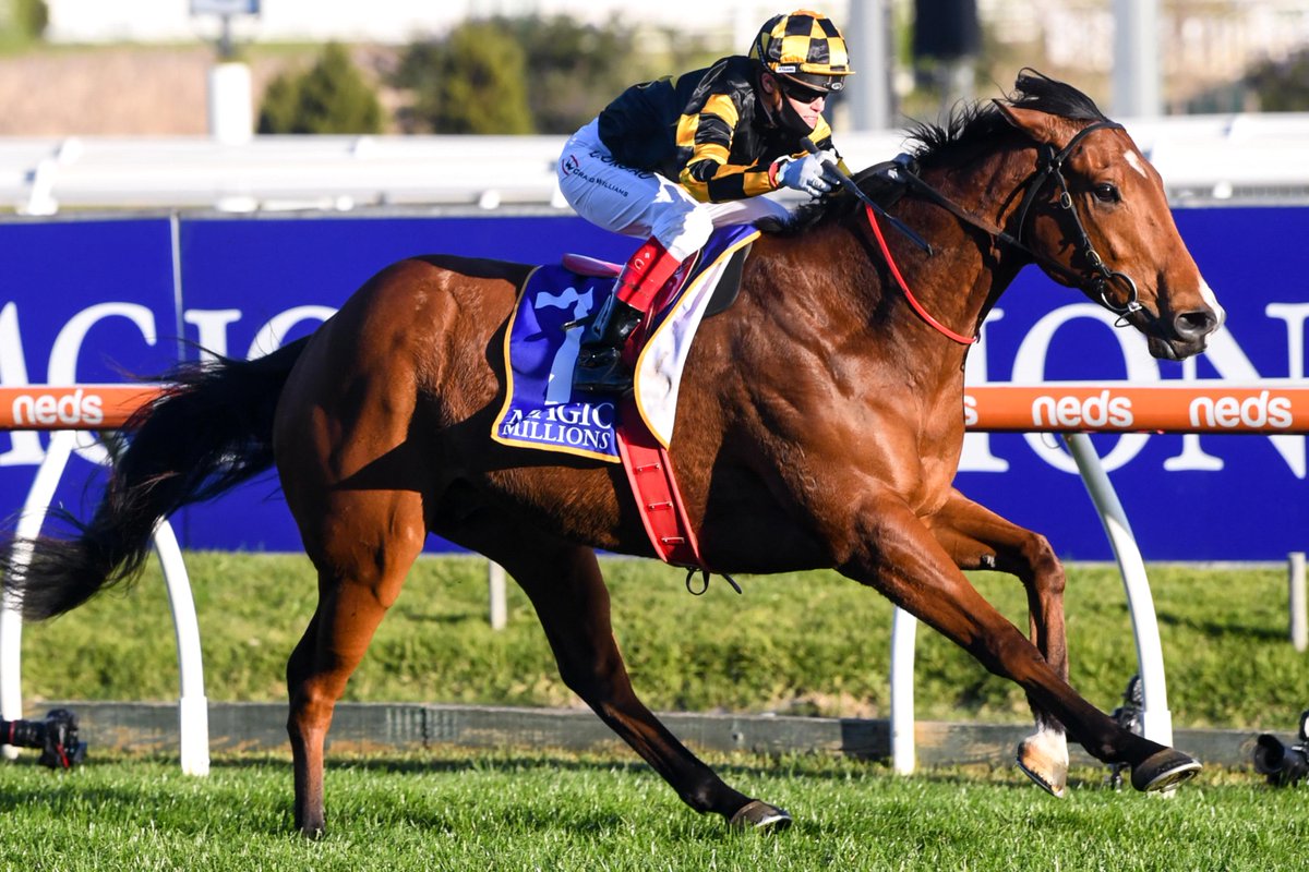 memsie stakes betting online memsie stakes betting online