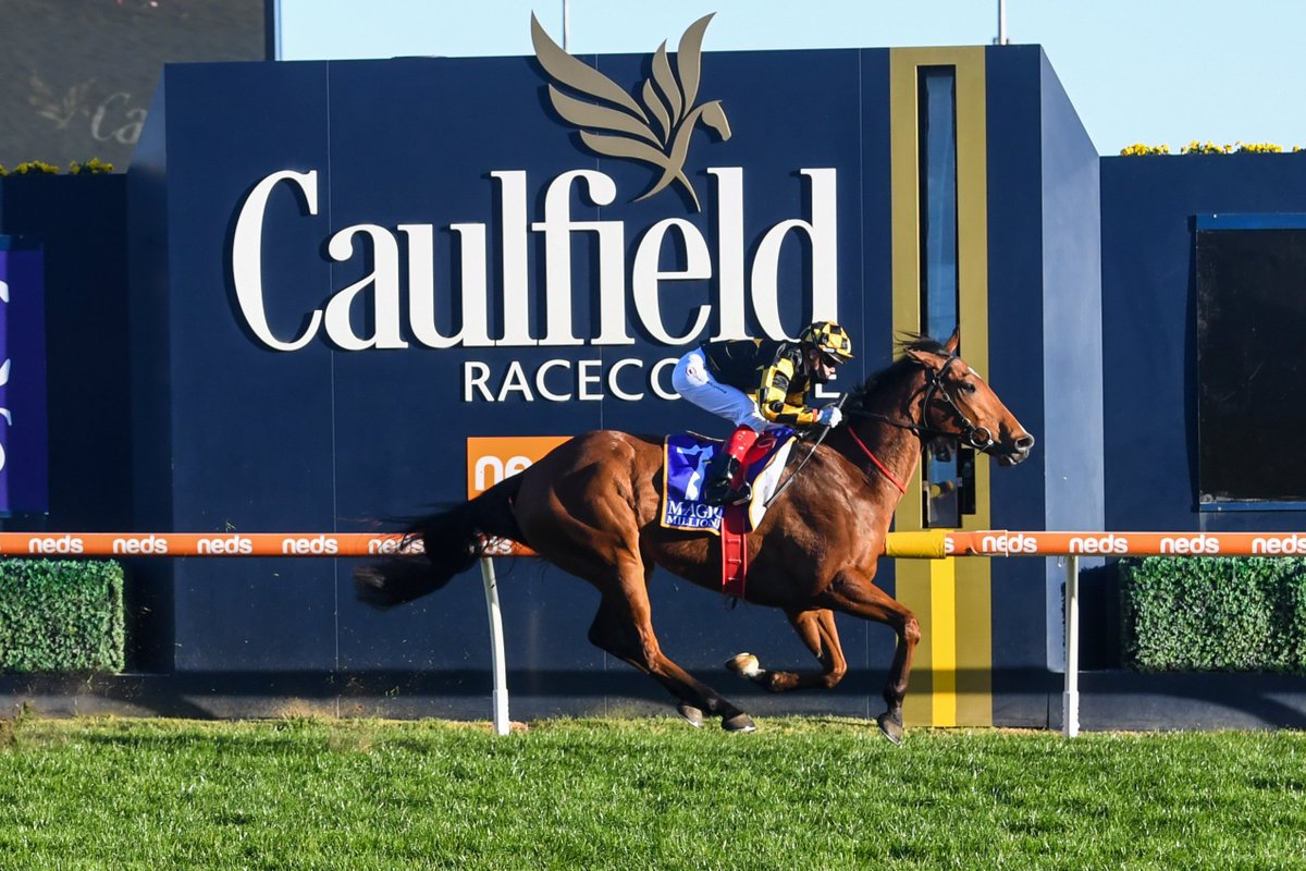 馬 Le Cheval♘♞ tweet media