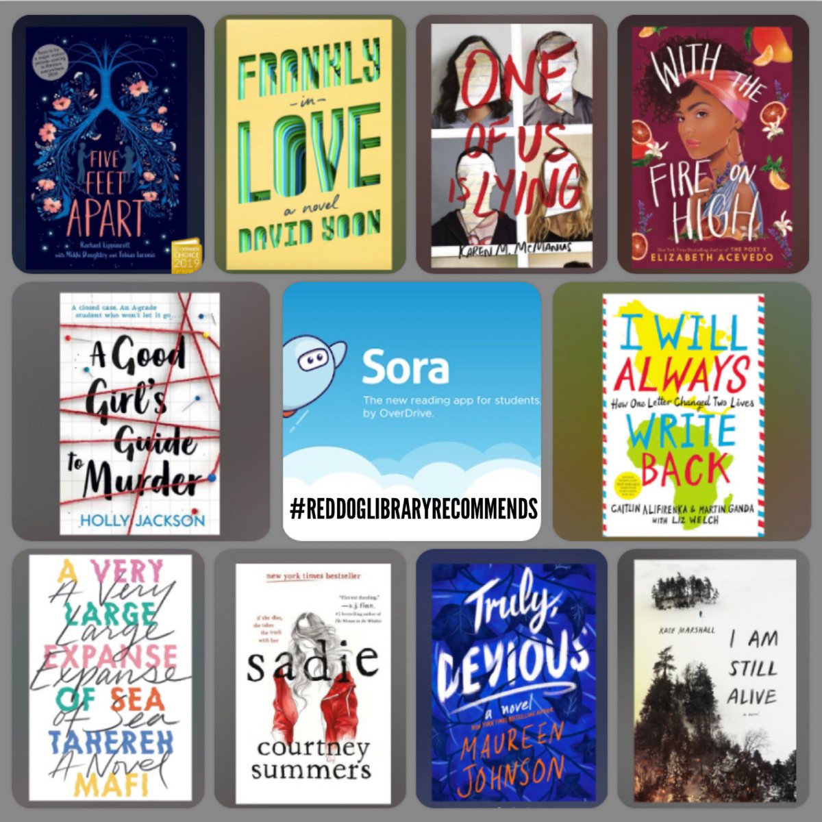 RedDogLibrary's tweet photo. Our top 10 recommended titles are now available on the Sora app! #SpringdaleReads @Sorareadingapp #RedDogLibraryRecommends https://t.co/any7njRQPr