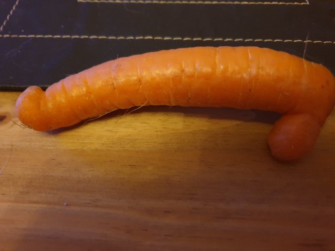 today is the absolute worst but thankfully phallic carrots exist https://t.co/Xtngxi4peN